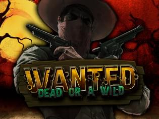 Wanted Dead or a Wild — новые функции